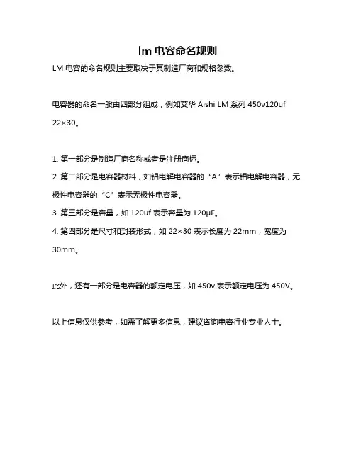lm电容命名规则