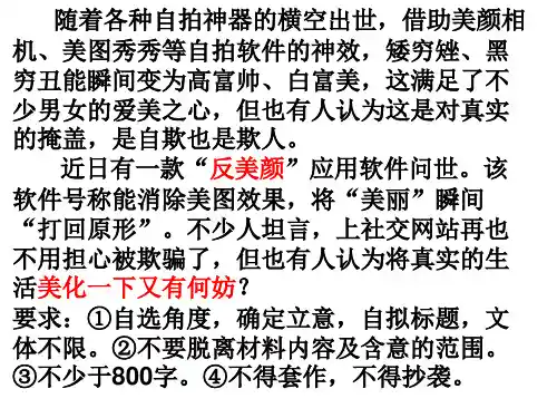 关于“美颜”的作文