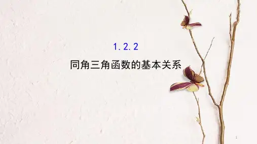 高中数学 第一章 三角函数 1.2.2 同角三角函数的基本关系课件2 新人教A版必修4.ppt