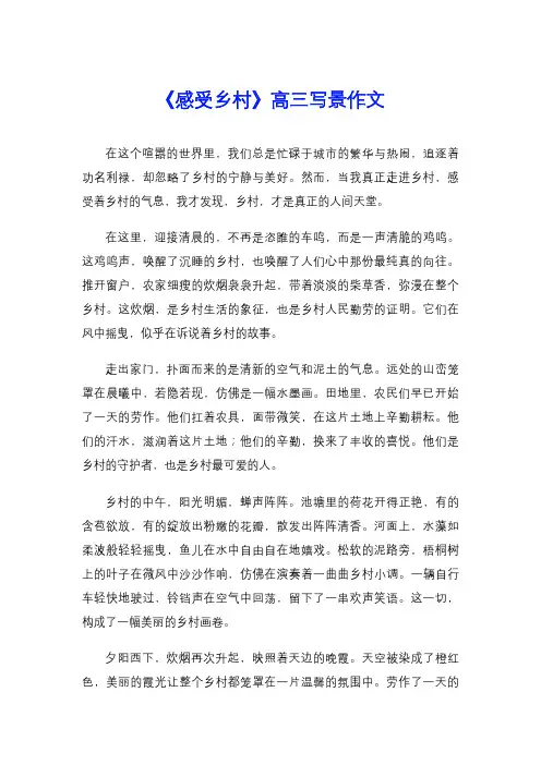 《感受乡村》高三写景作文