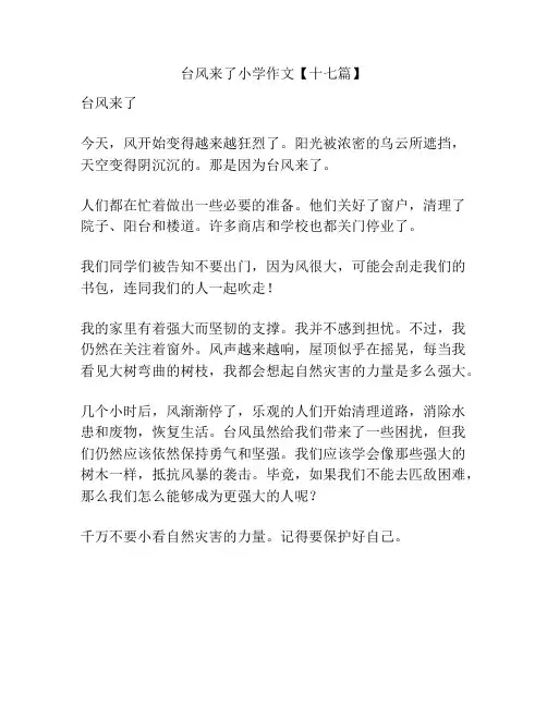 台风来了小学作文【十七篇】
