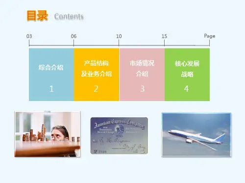 对标分析美国运通课件