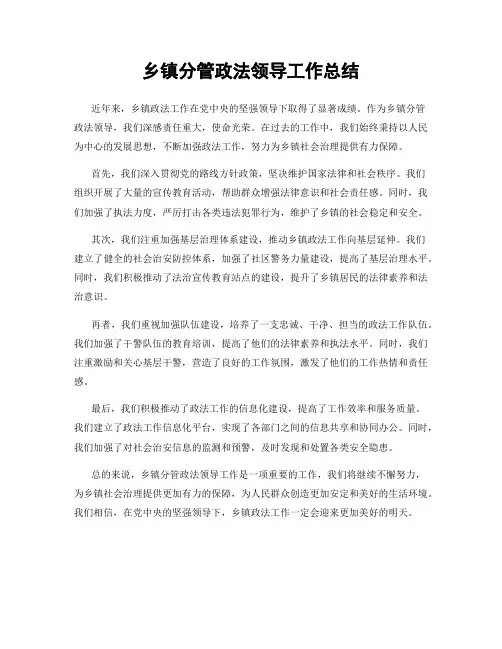乡镇分管政法领导工作总结