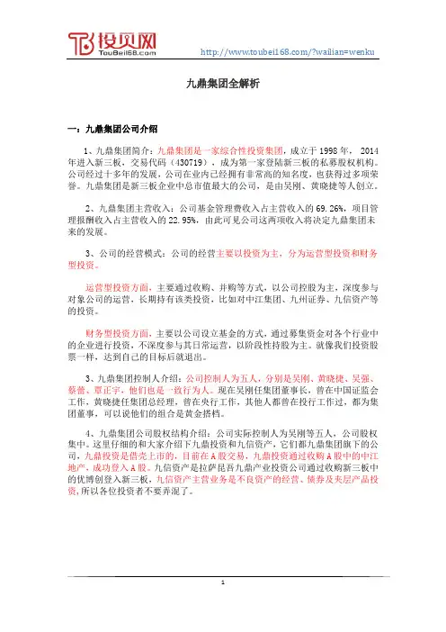 九鼎集团全解析