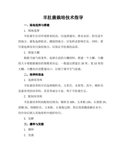 羊肚菌栽培技术指导