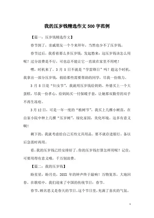 我的压岁钱精选作文500字范例