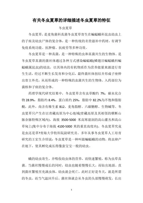 有关冬虫夏草的详细描述冬虫夏草的特征