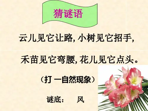 三年级上册科学课件-13《风》 ｜冀教版   (共11张PPT)