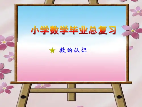 北师大版数学六年级下册总复习一《数的认识》课件复习课程