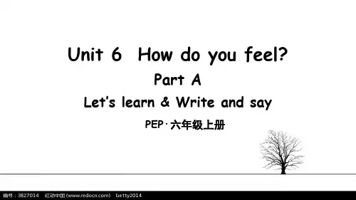 PEP人教版六年级英语上册Unit 6课件