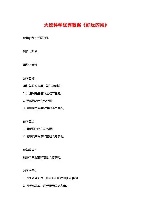 大班科学优秀教案《好玩的风》