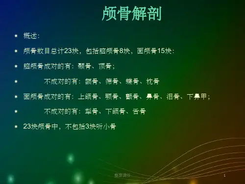 《颅骨3D解剖》