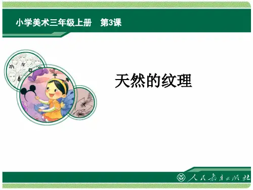 小学美术三年级上册第9课《天然的纹理》课件