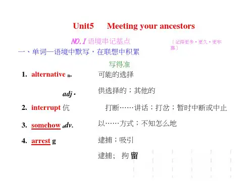人教高三英语一轮复习课件：选修八Unit5Meetingyourancestors