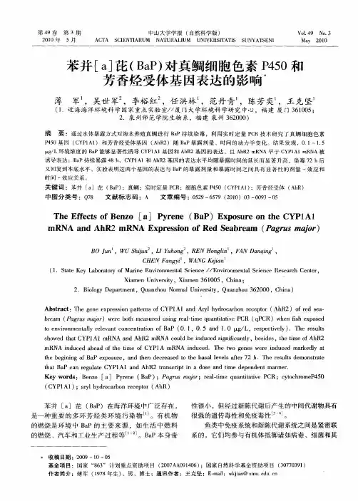 苯并[a]芘(BaP)对真鲷细胞色素P450和芳香烃受体基因表达的影响