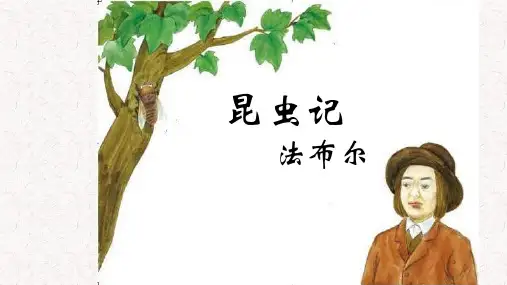 初中语文-八年级上册-名著导读《昆虫记》-优质教学课件