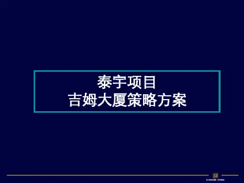 华鼎大厦泰宇的项目吉姆大厦的策略的方案