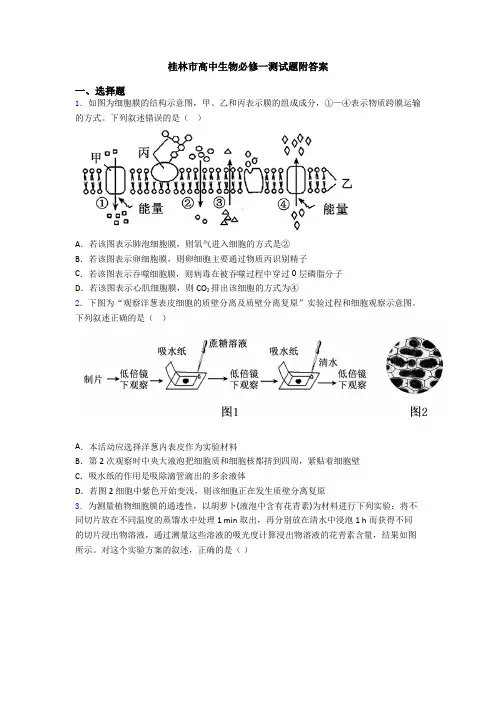 桂林市高中生物必修一测试题附答案