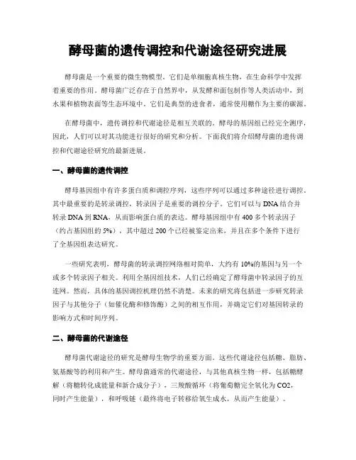酵母菌的遗传调控和代谢途径研究进展