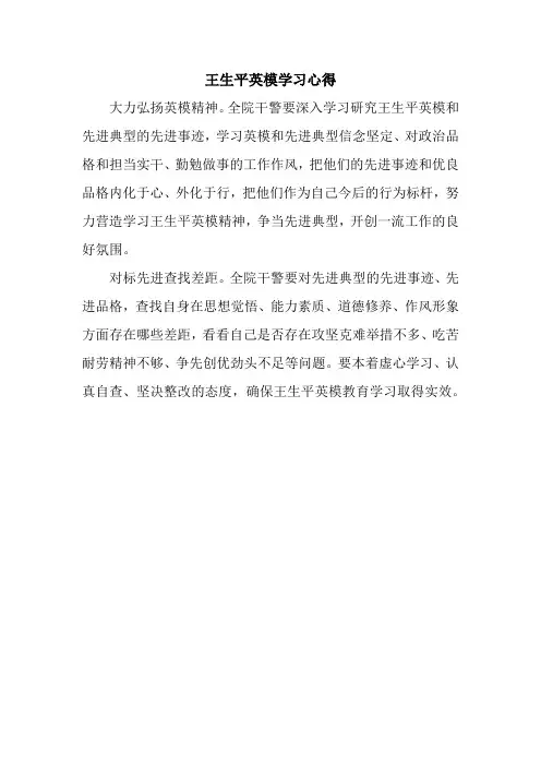 王生平英模学习心得