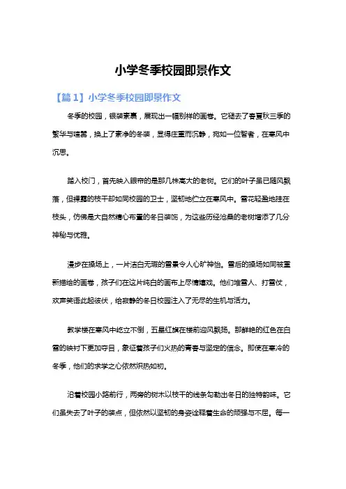 小学冬季校园即景作文