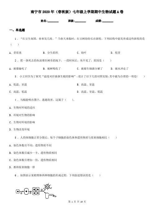 南宁市2020年(春秋版)七年级上学期期中生物试题A卷