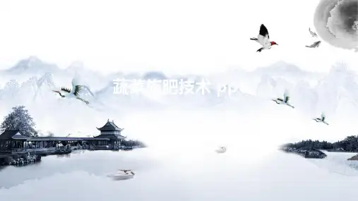 蔬菜施肥技术 ppt