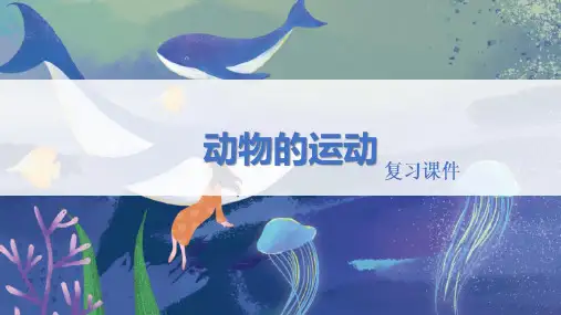 人教版八年级生物上册  《动物的运动》精品复习课件
