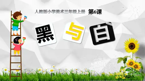 《黑与白》PPT优质课件