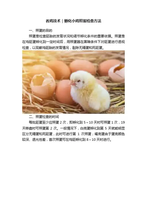 养鸡技术｜孵化小鸡照蛋检查方法