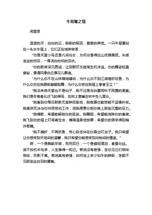 牛背鹭之情