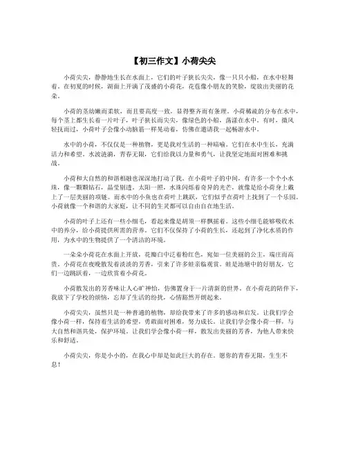 【初三作文】小荷尖尖