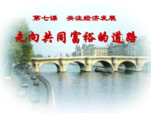 《走向共同富裕的道路》关注经济发展PPT课件6