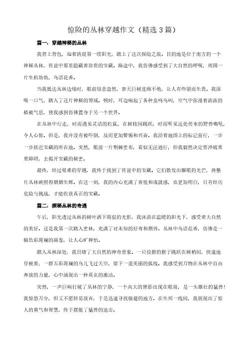 惊险的丛林穿越 作文(精选3篇)