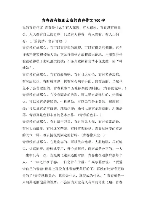 青春没有规则我的青春作文700字