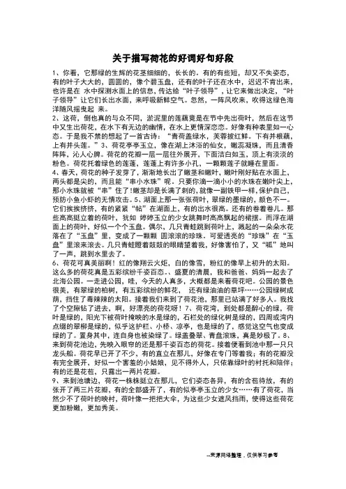 关于描写荷花的好词好句好段_