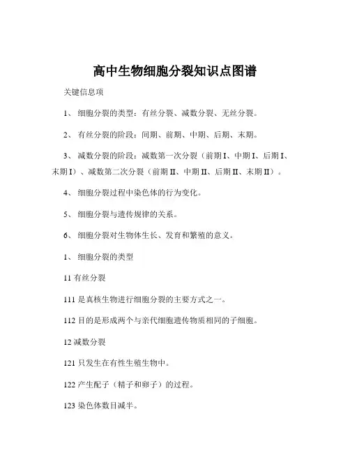高中生物细胞分裂知识点图谱