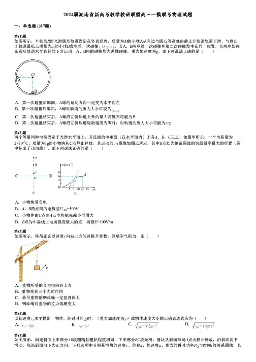 2024届湖南省新高考教学教研联盟高三一模联考物理试题