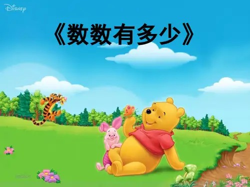 小班数学《数数有多少》ppt课件