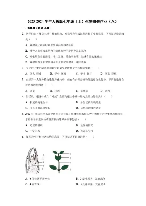 2023-2024学年人教版七年级(上)生物寒假作业(八)(word版含解析)