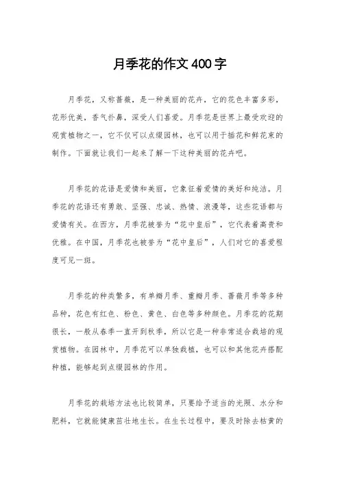 月季花的作文400字