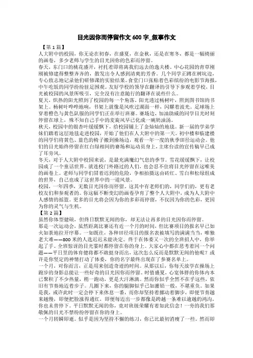 目光因你而停留作文600字_叙事作文