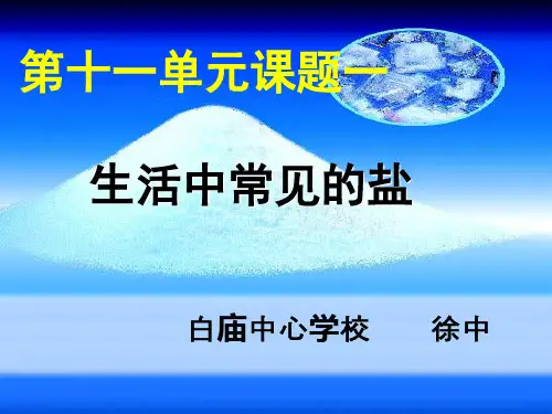 人教版九年级化学下册第十一章课题1生活中常见的盐(共84张PPT)
