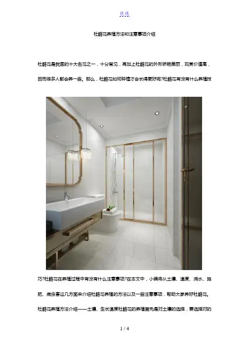 杜鹃花养殖方法和注意事项介绍