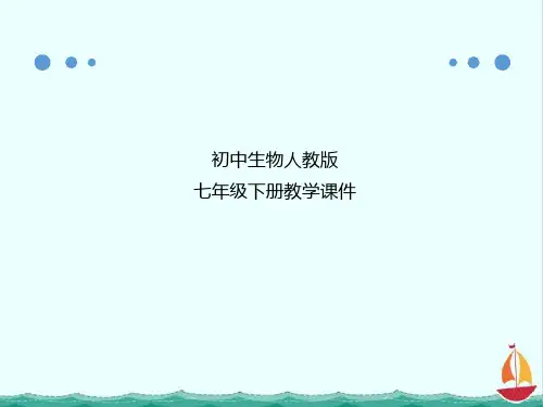 人教版七年级生物下册-第四单元生物圈中的人第四章人体内物质的运输第二节血流的管道——血管PPT课件