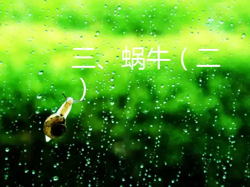 小学科学三年级上册2.3蜗牛(二)