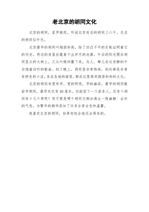老北京的胡同文化_作文