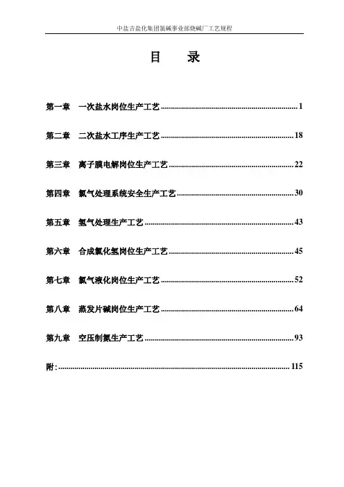 烧碱生产工艺规程