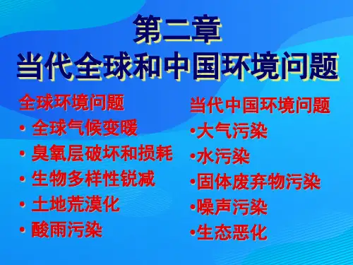 当代全球环境问题(ppt 27页)