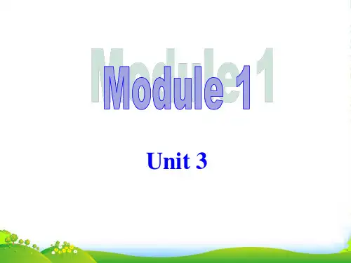 外研版九年级英语下册Module 1 Travel Unit 3 课件 (31张)